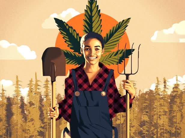 Weed Farming / Vice