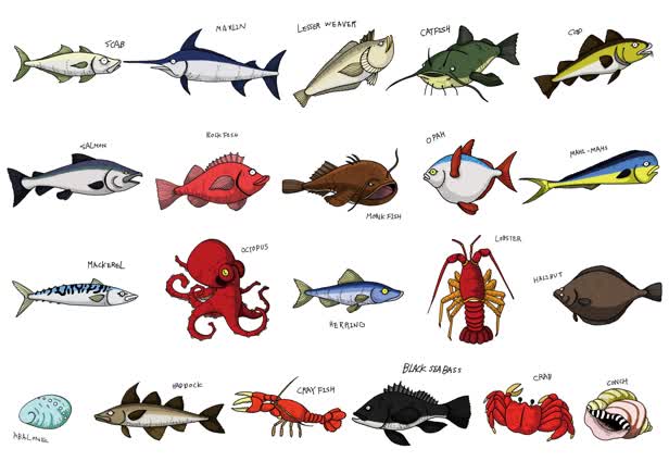 Fish Chart