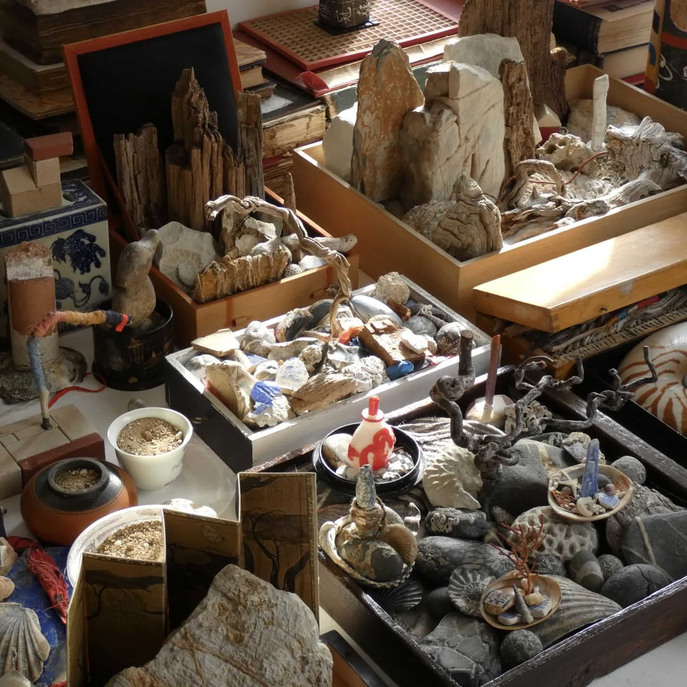 In the studio- some of the latest miniature gardens and landscapes in my bonsai culture project .jpg