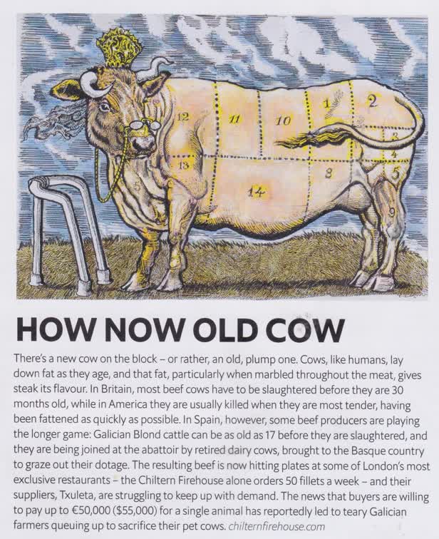 1843 Magazine / How Now Old Cow