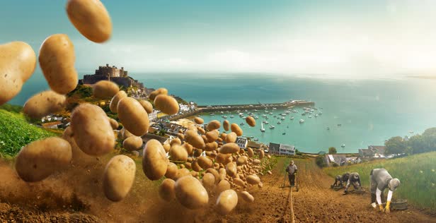 Albert Bartlett potatoes