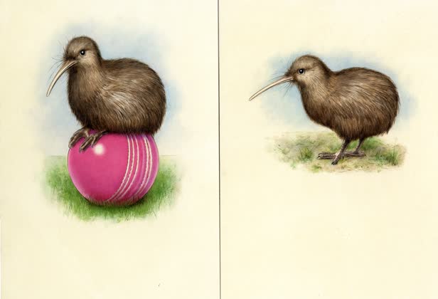 Kiwi Cricket