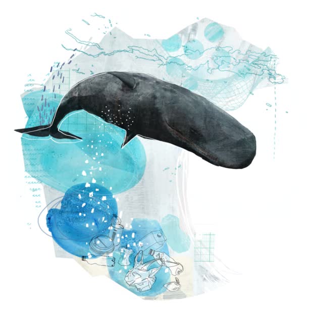 Environment Plastic / Coaster 2018