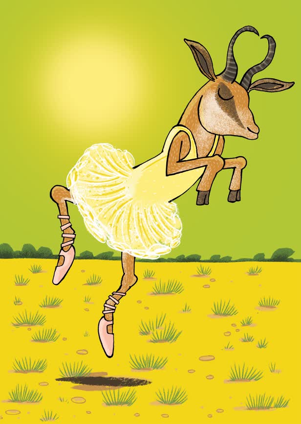 Springbok / Orbit Magazine