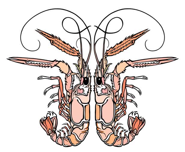 Langoustines