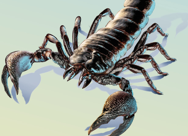 Travelex Scorpion