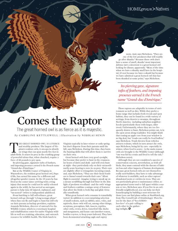 Comes the Raptor / Virginia Living Magazine