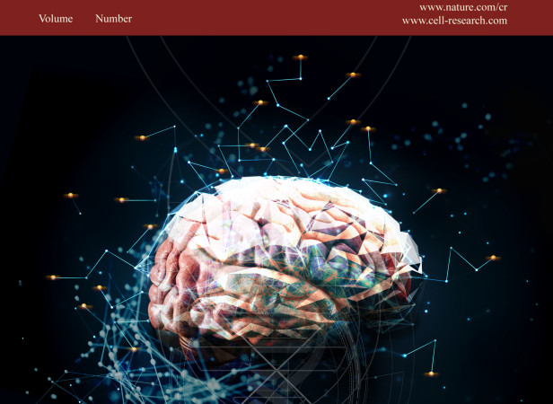 Brain Retrotransposition - Cell magazine.jpg