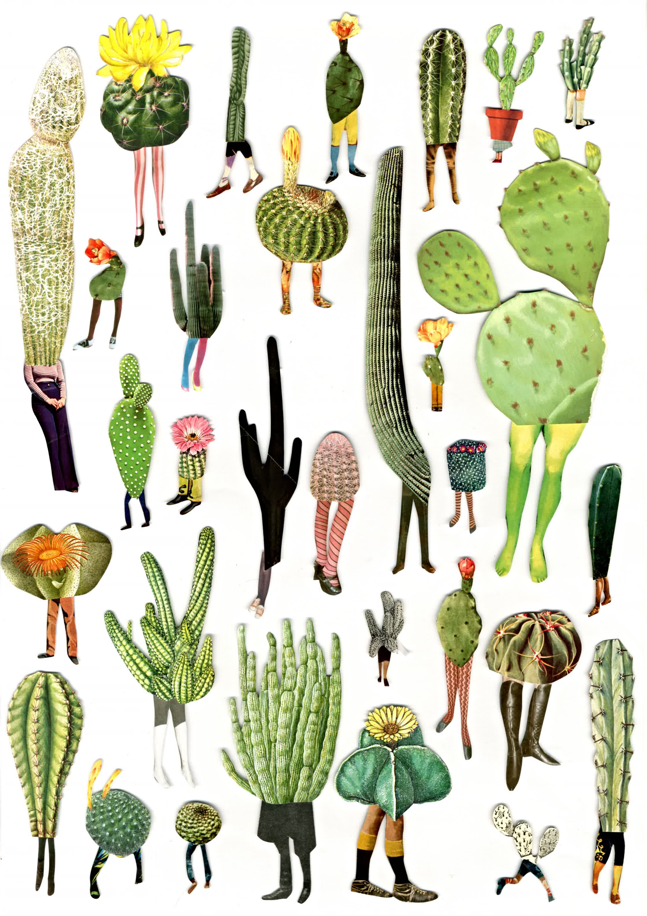 Cactus People.jpg