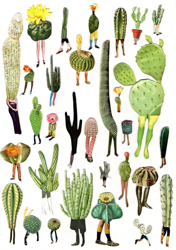 Cactus People