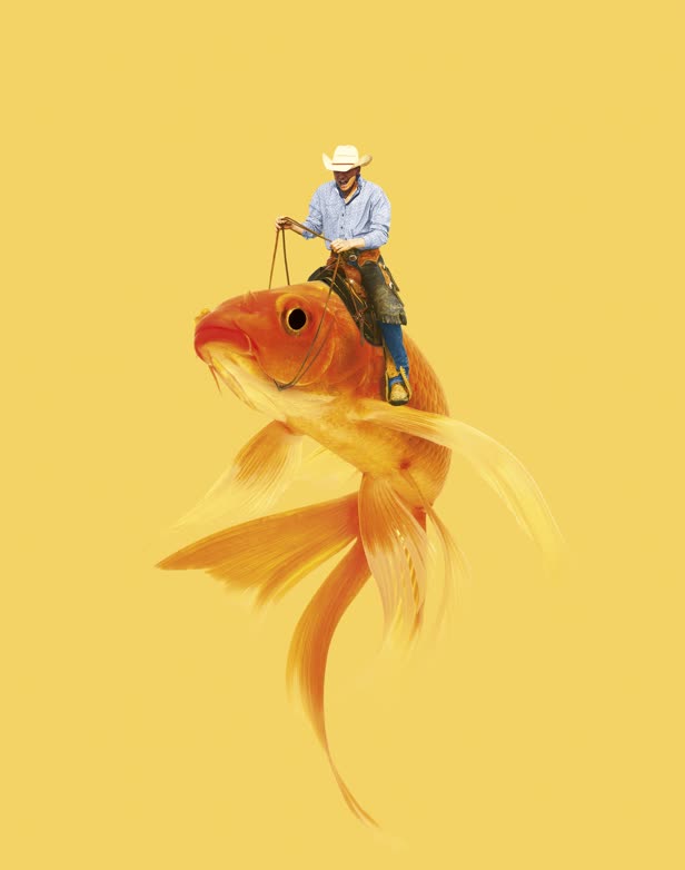 Cowboy / Philosophie Magazine