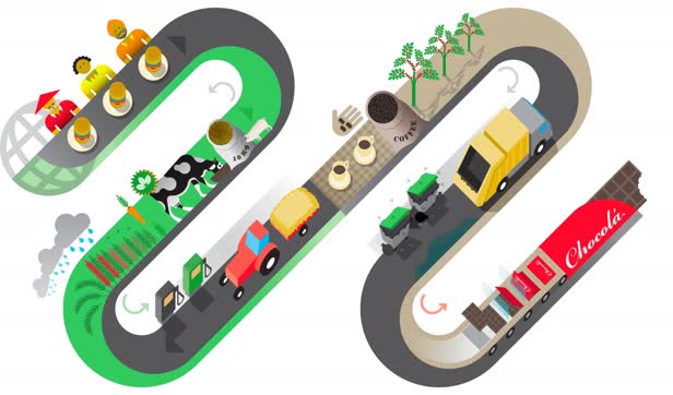 Food Cycle / Cluster