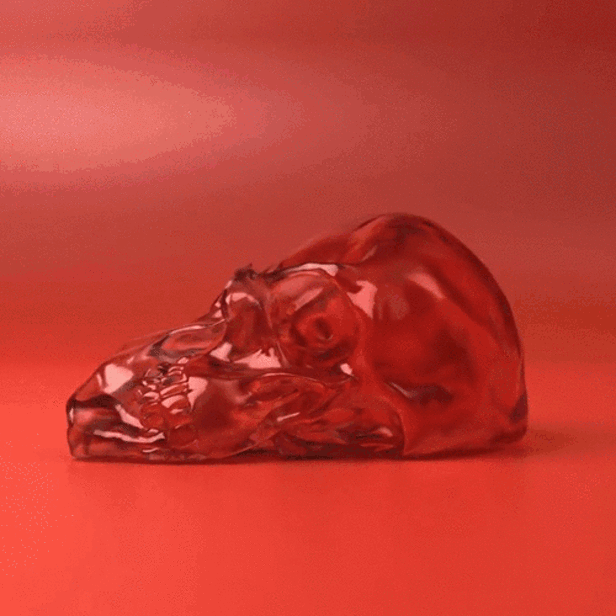Jelly Skull
