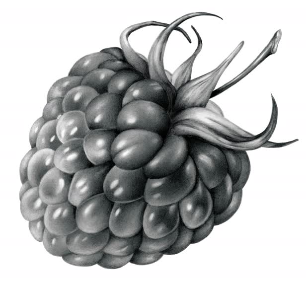 Berry