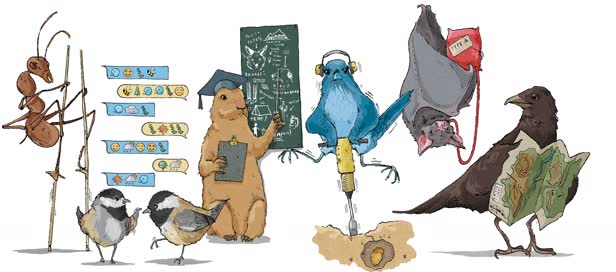 Smart Animals / Answers Magazine
