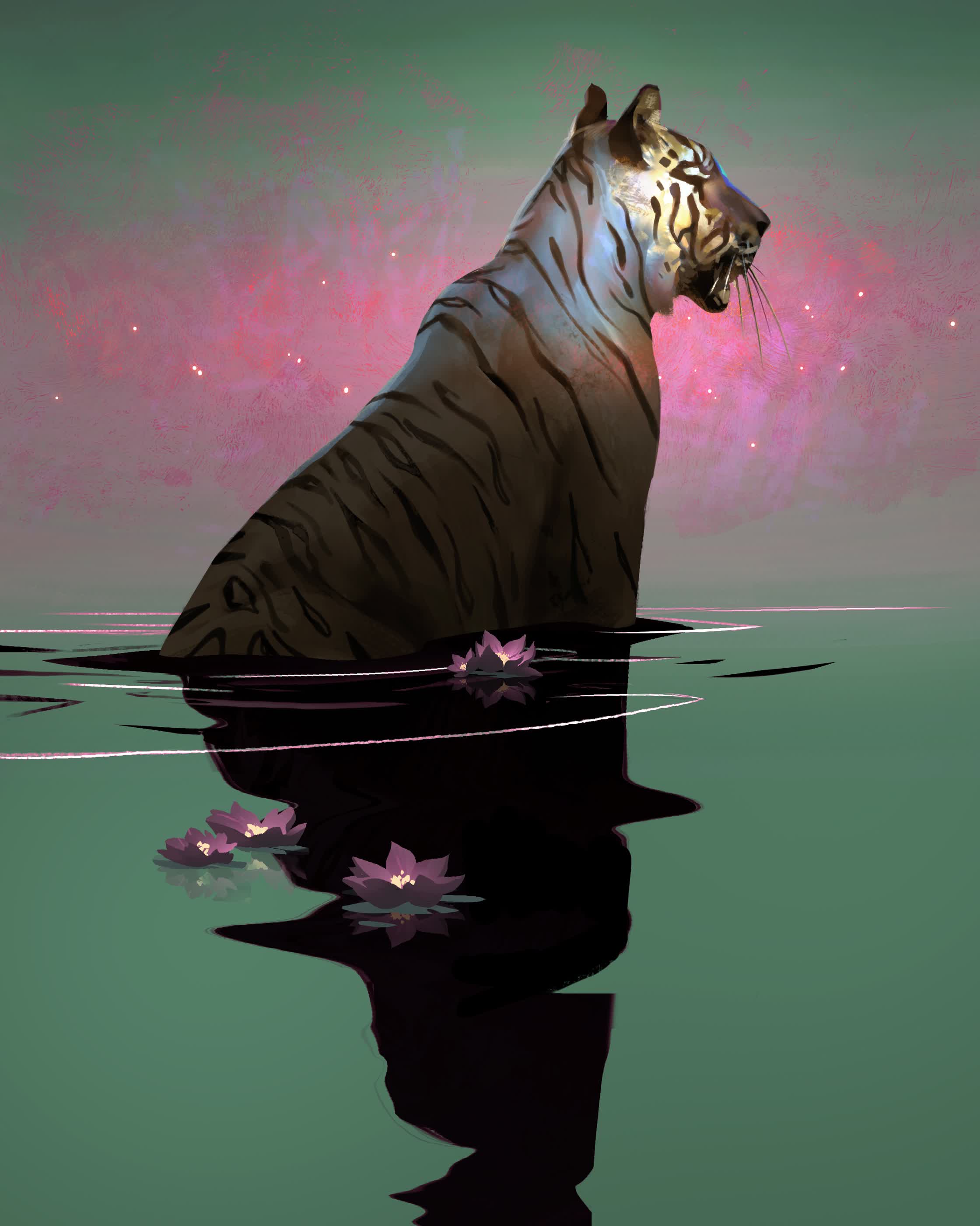 Timid reflection - Personal Work.jpg