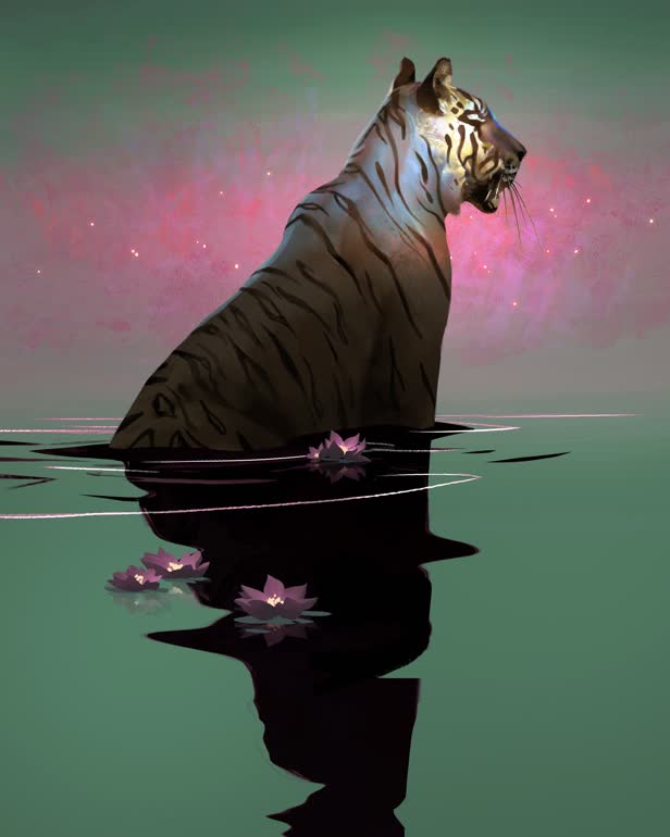 Timid reflection  Personal work