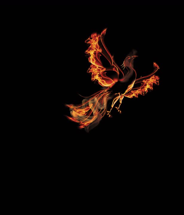 Phoenix