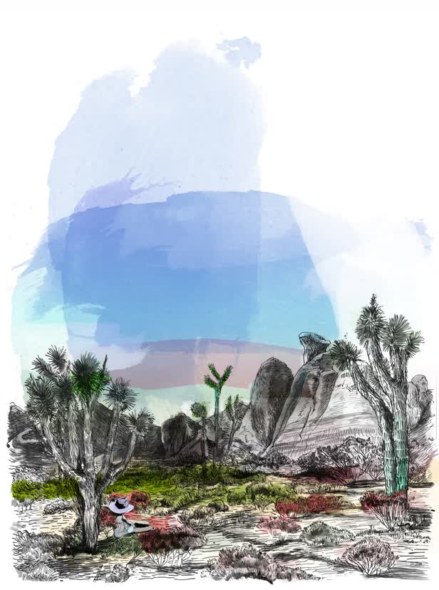 The Land Trust in San Francisco II