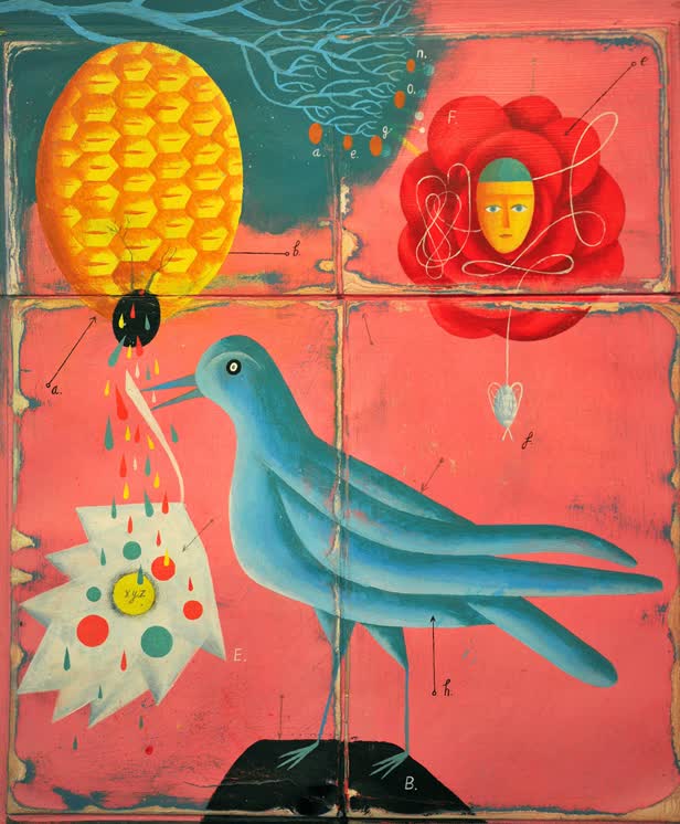 Blue Bird