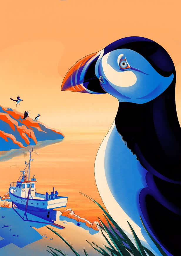 IcelandicBirds_Puffin_PersonalProject.jpg