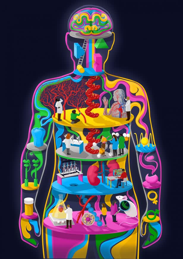 Cardiovascular Pharmacology / The Watts Lab