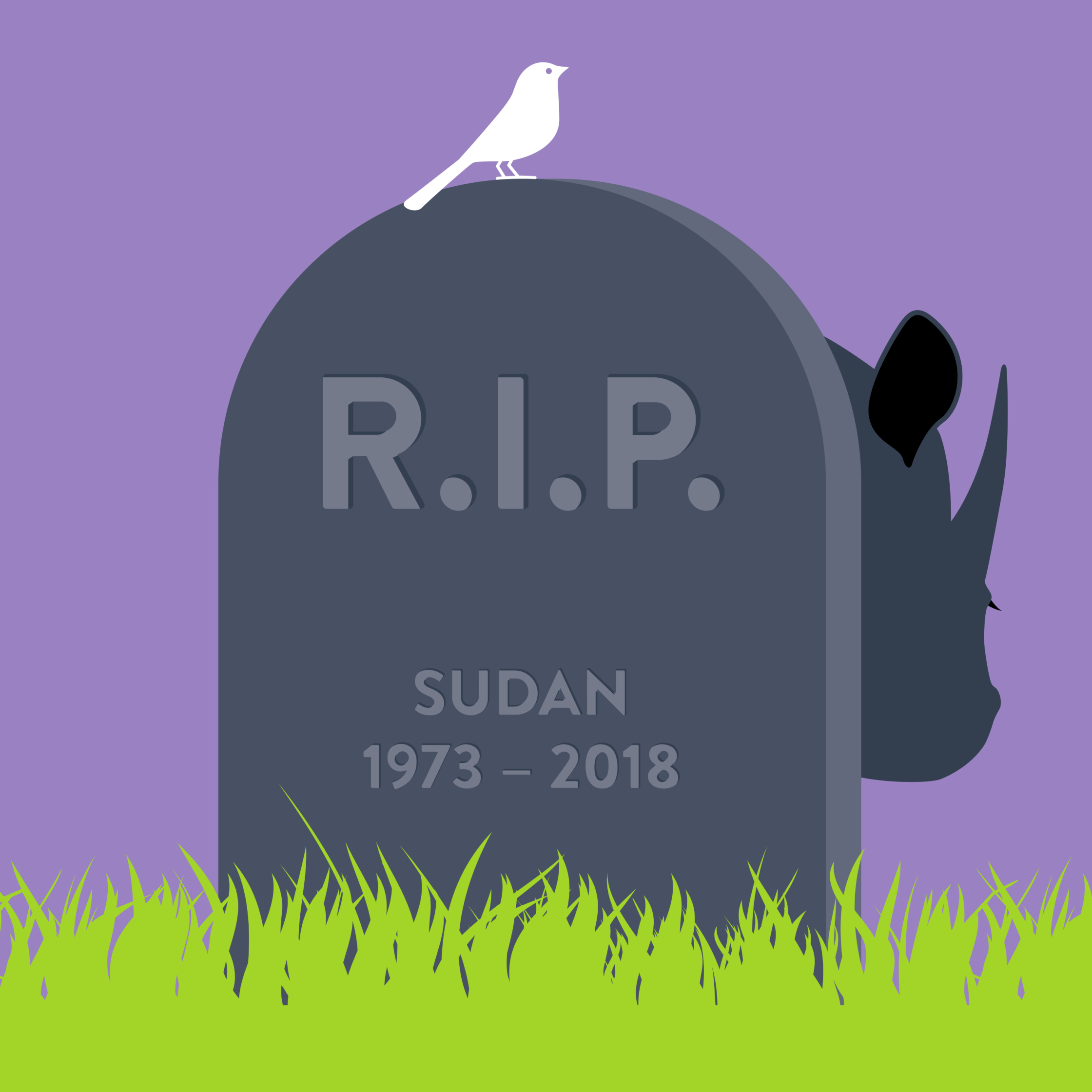 Endangered_Rhino_Sudan.jpg