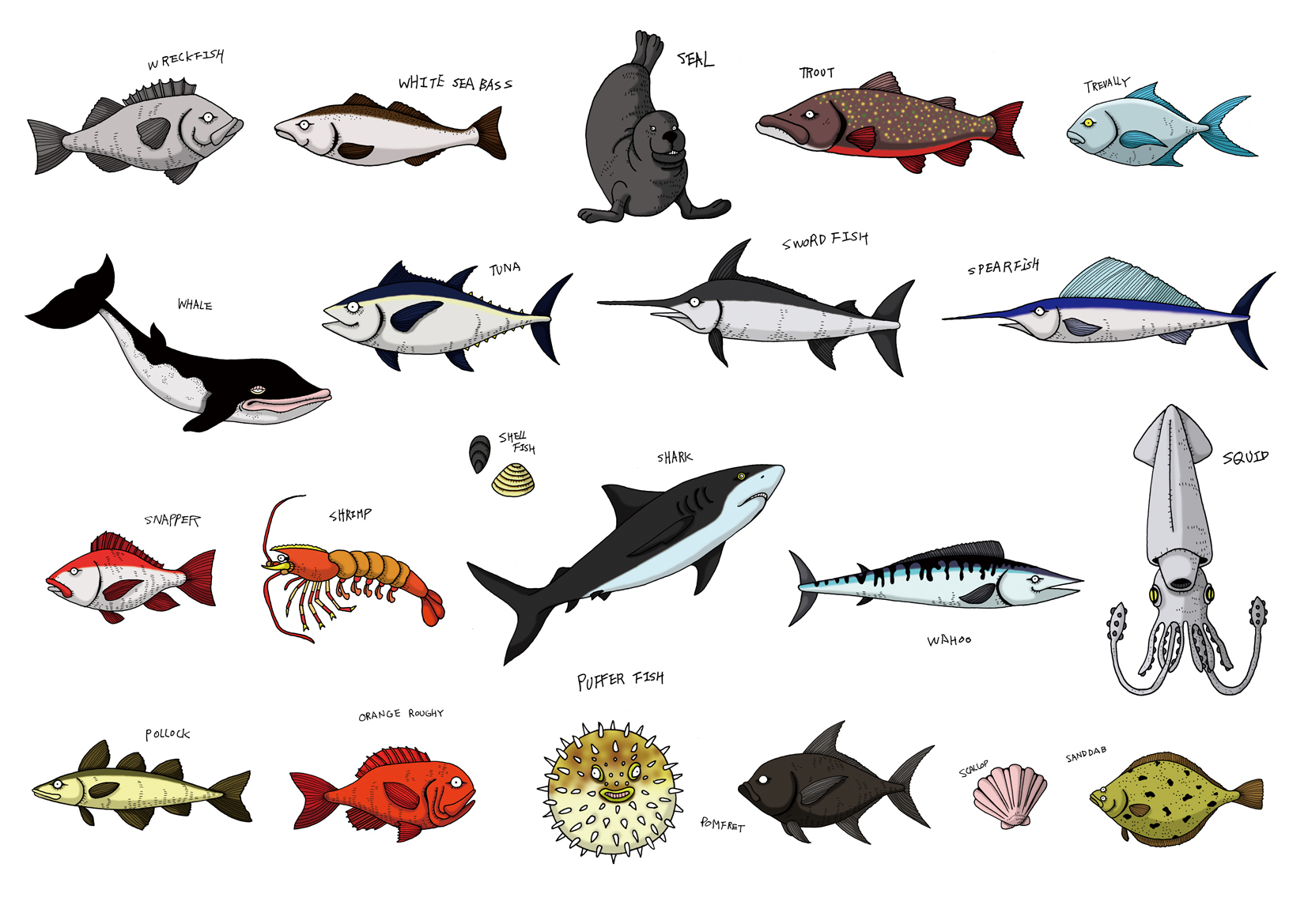 Fish Chart 2