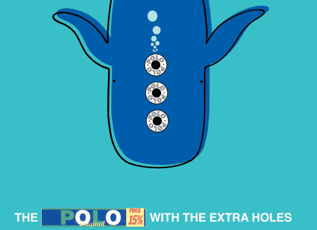 Polo Whale