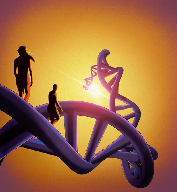 On-going human evolution cover / La Scienza Magazine