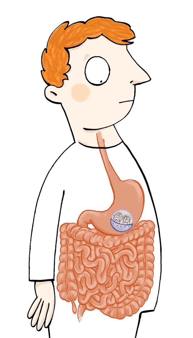 Stomach Journey / Orbit Magazine