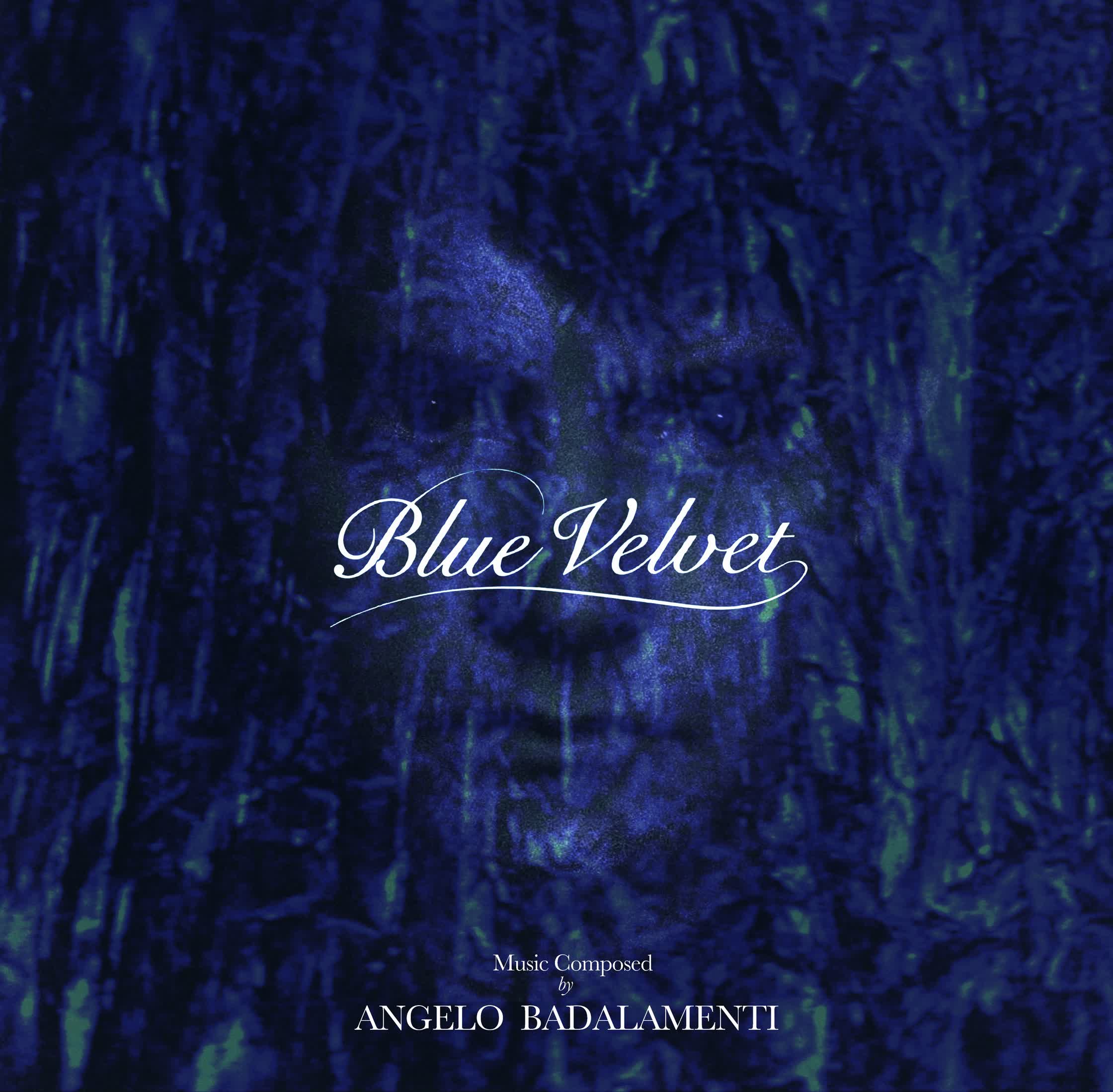 BLUE VELVET pet sleeve cover for Coda_Lynch.jpg