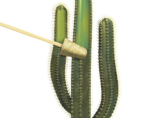 Cactus Cleaning / Men's Health Magazine