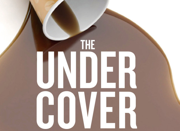 The Under Cover Economist - Tim Harford Cover