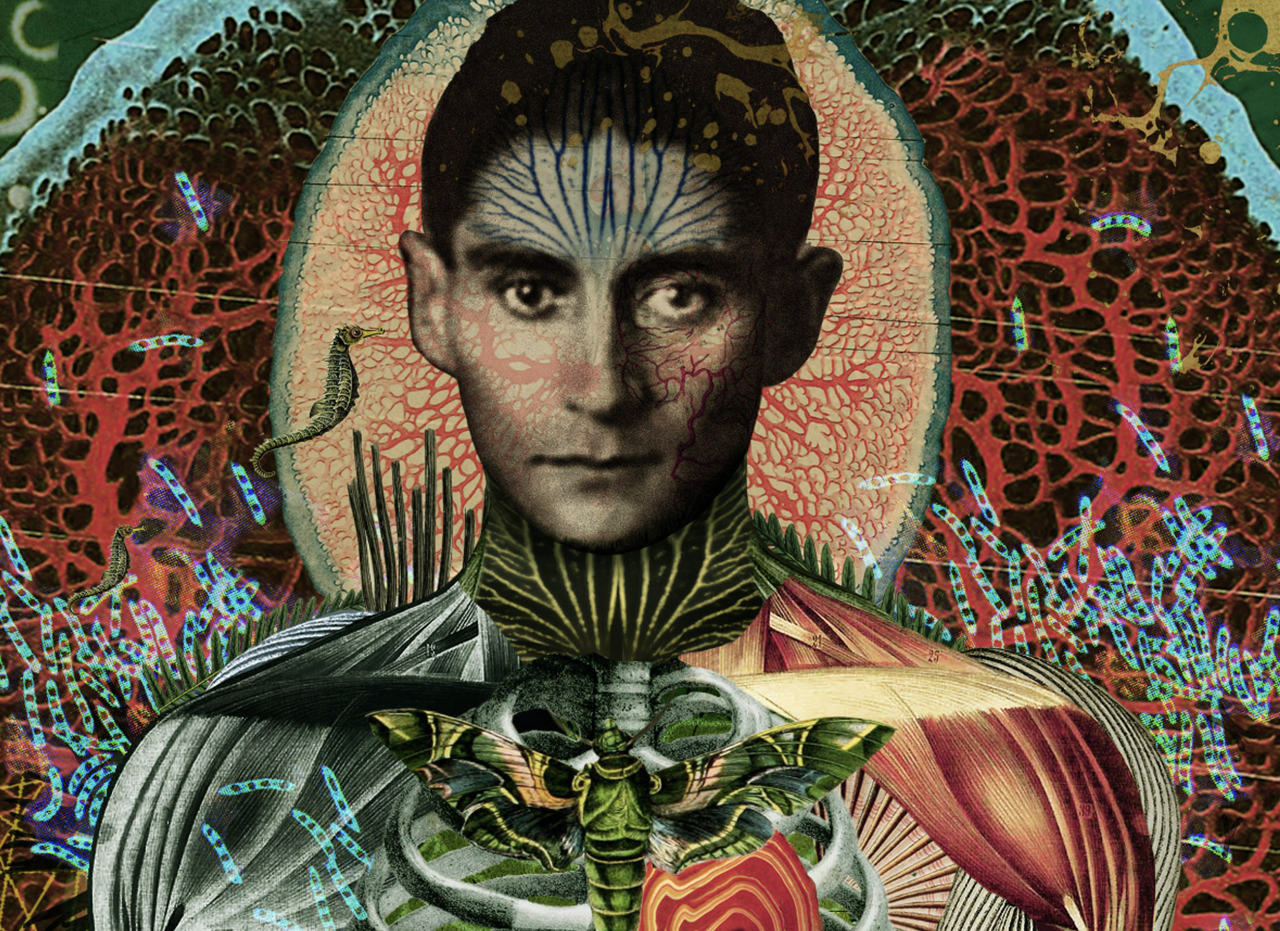 Screenshot 2025-10-01 at 09.03.36.png