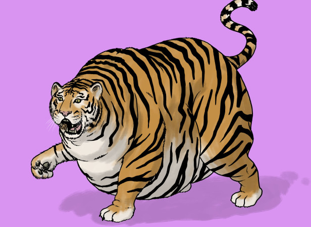 Personal-Fat_Tiger.jpg