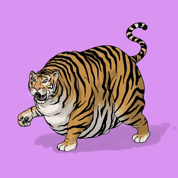 Fat Tiger