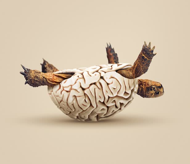 Creative Block / Personal