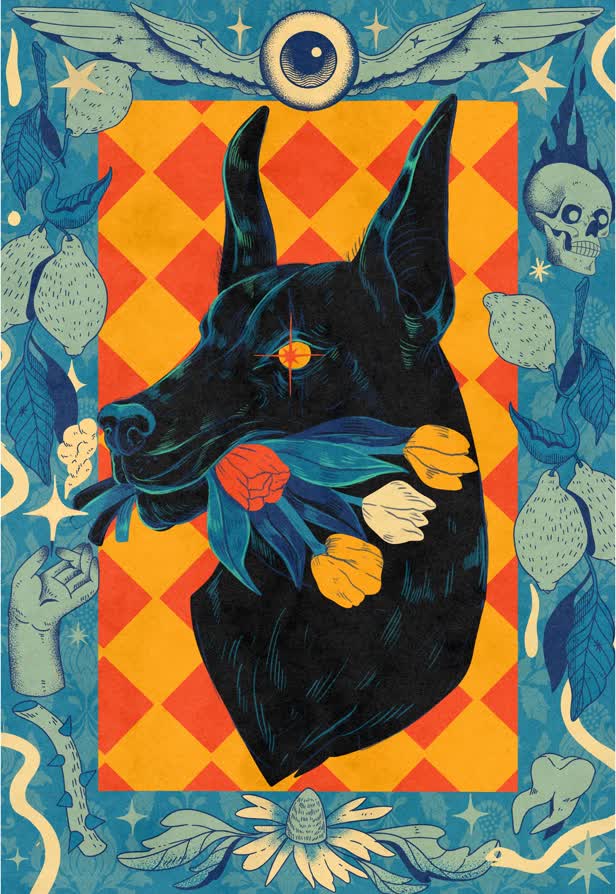 Dog 1 / Personal work