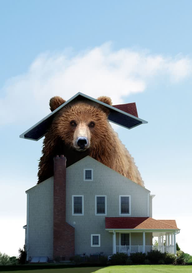 Bear Market House Money Mag