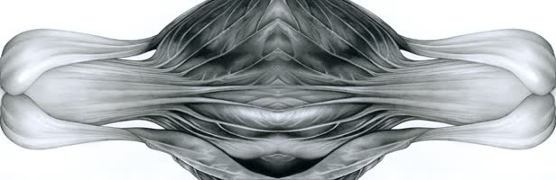 Food Vegetable Symmetry