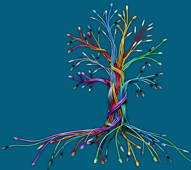 Cable Tree