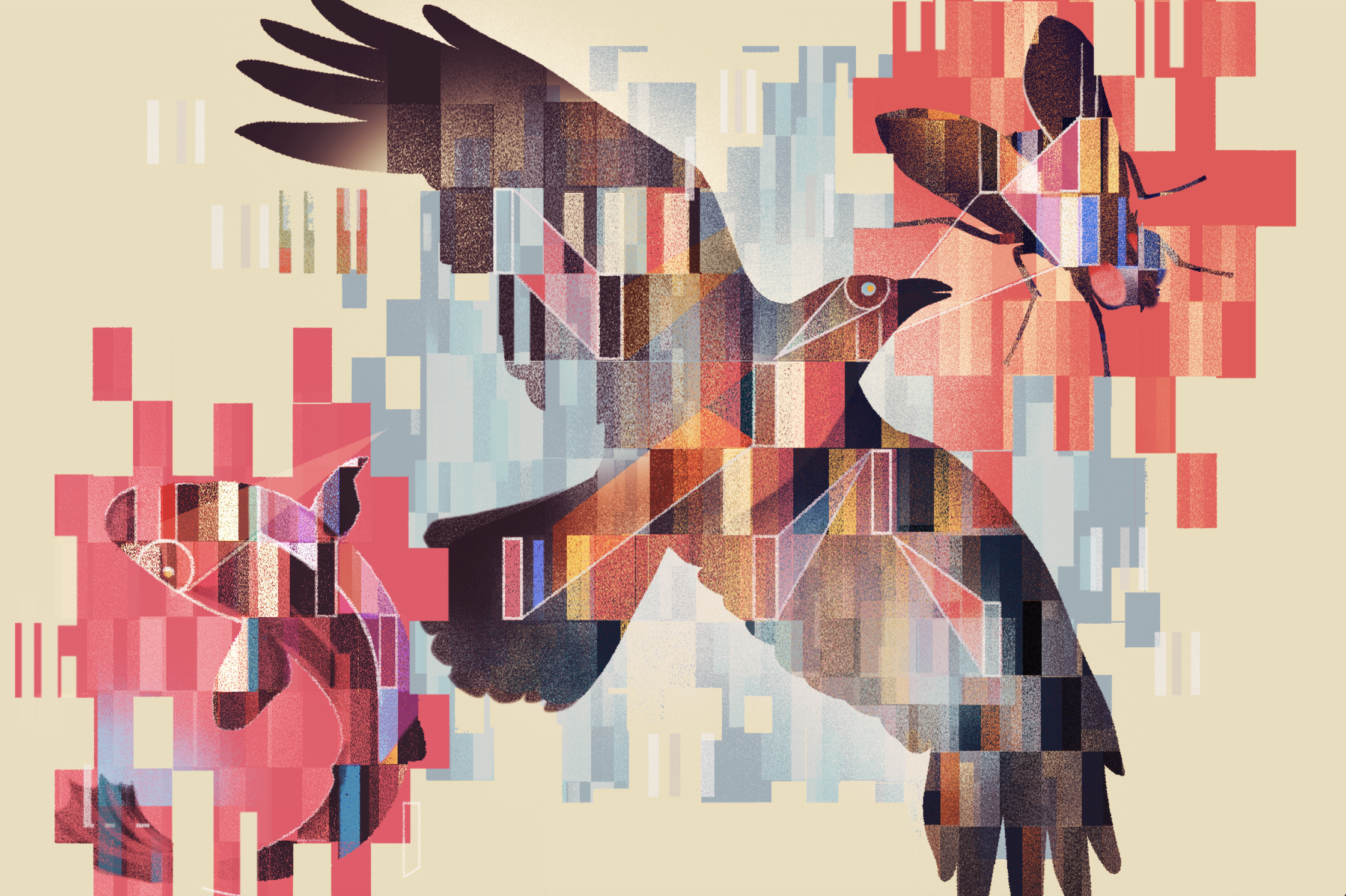 Unknown.png