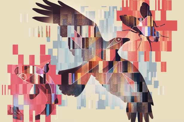 Unknown.png