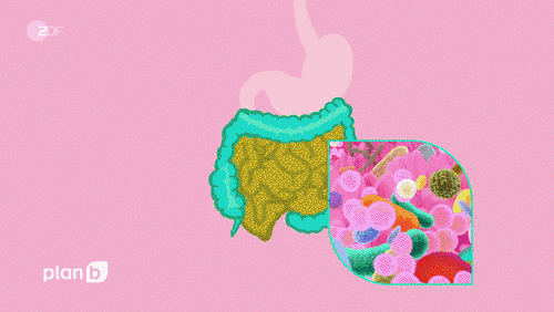Bowel documentary / ZDF