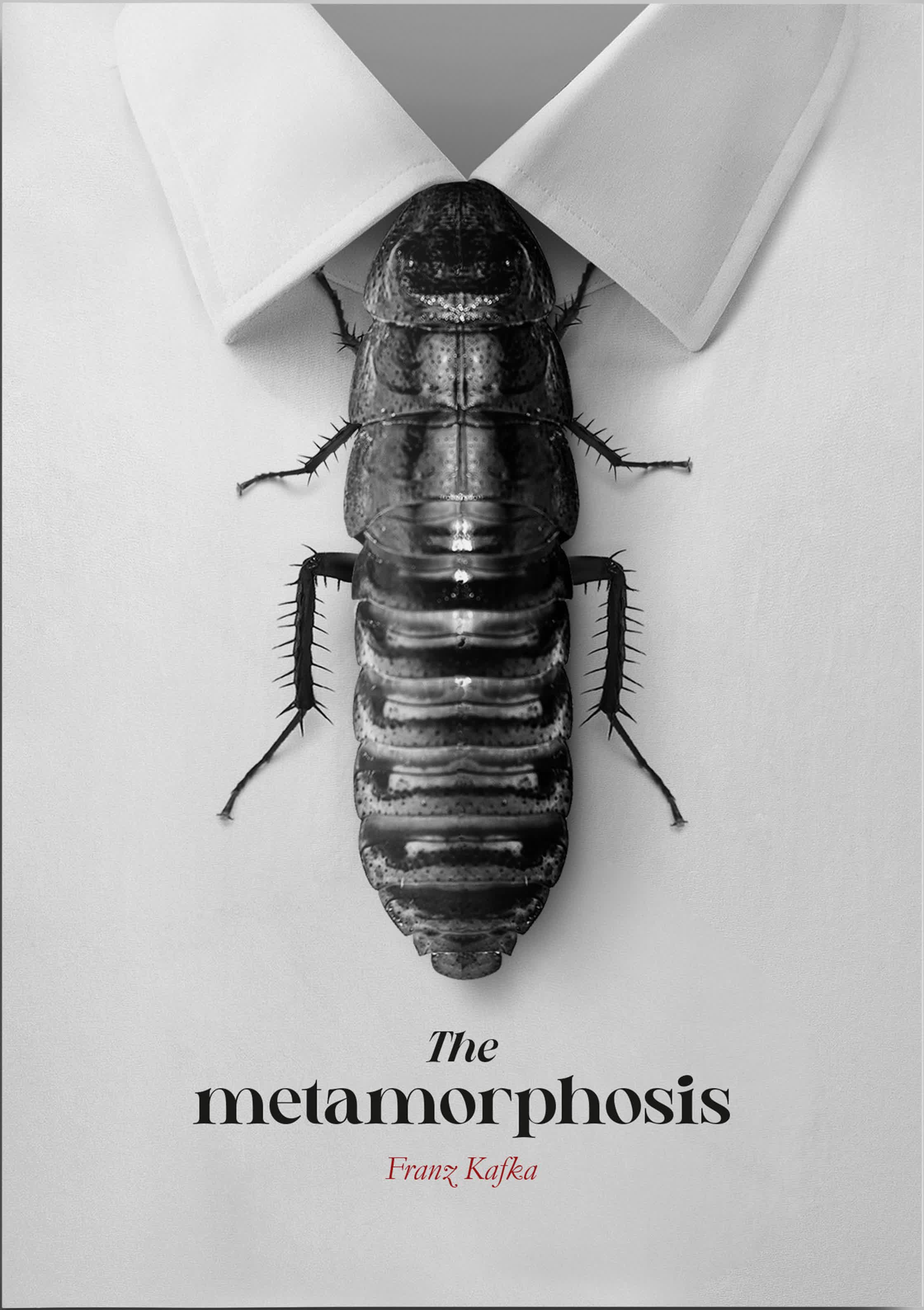 METAMORPHOSIS BOOK COVER - PERSONAL copy.jpg