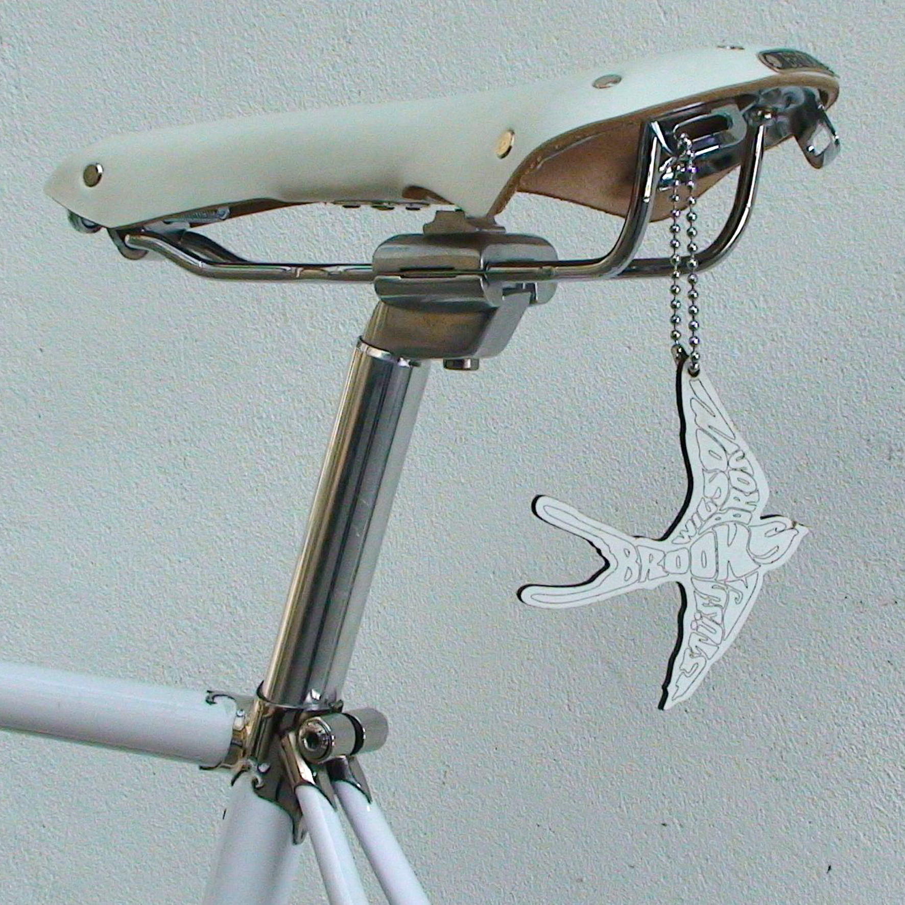 Brooks / StÃ¼ssy - The Lesser Spotted White Swallow on Nike bike