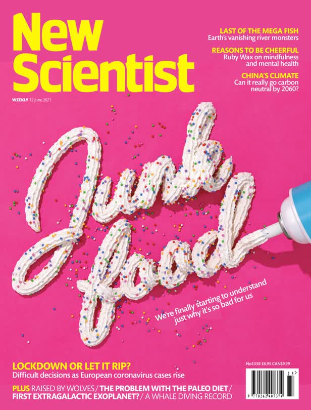 Junk food / New Scientist