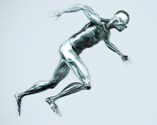 Anatomy Runner / Mens Health