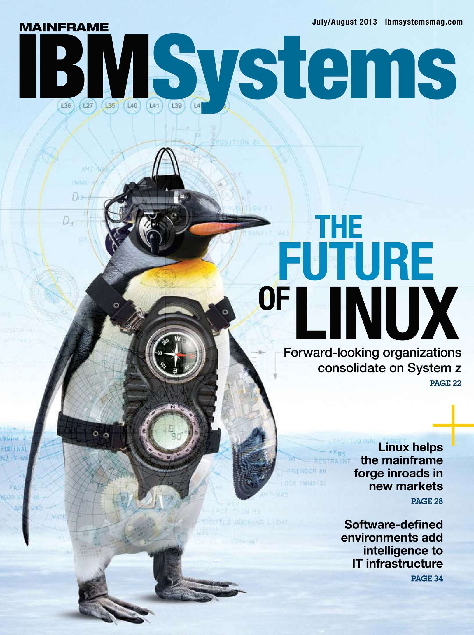 Penguins / IBM Systems